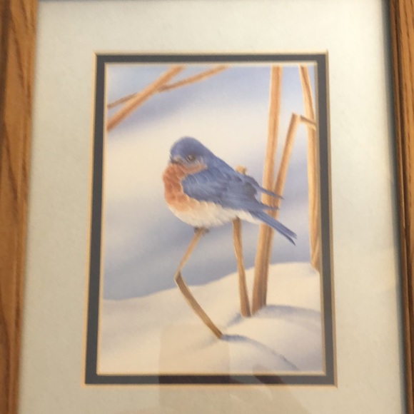 Blue Bird print by L. Daniel/ natural tone wood frame/ double matted/bird/straw - Picture 3 of 14